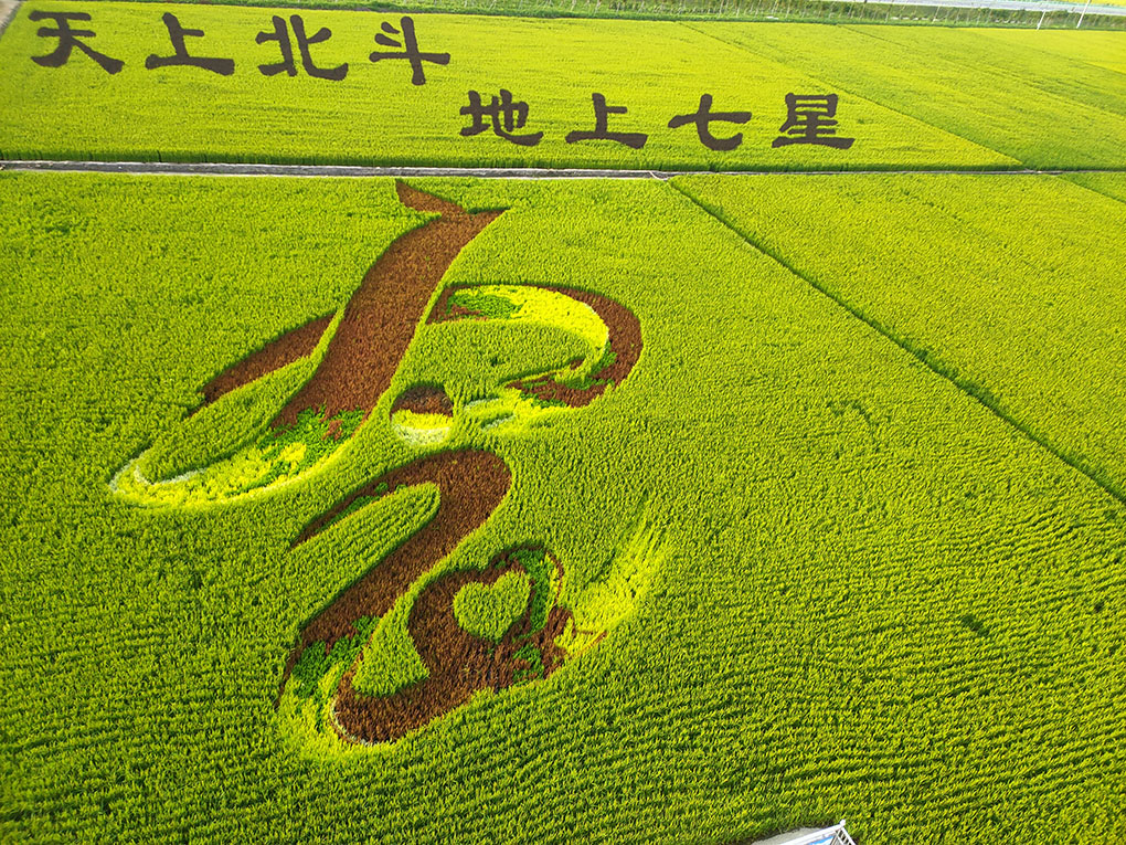 新奥门2024资料1688