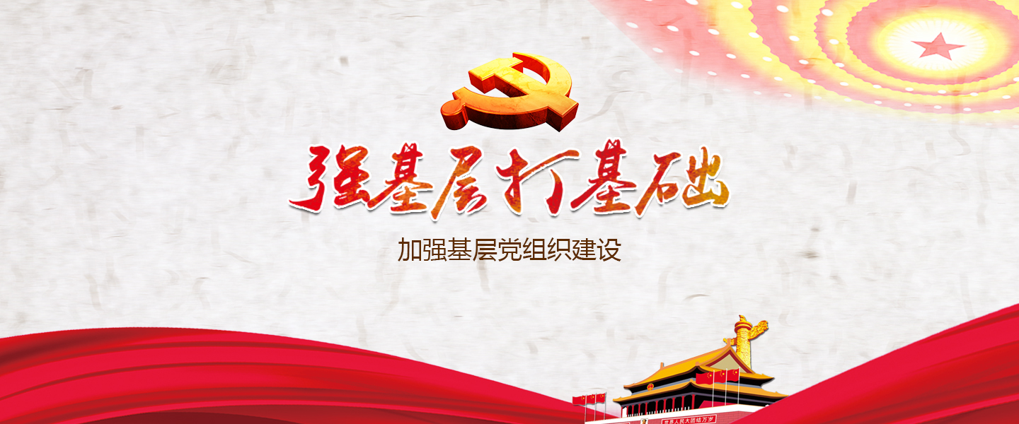 新奥门2024资料1688